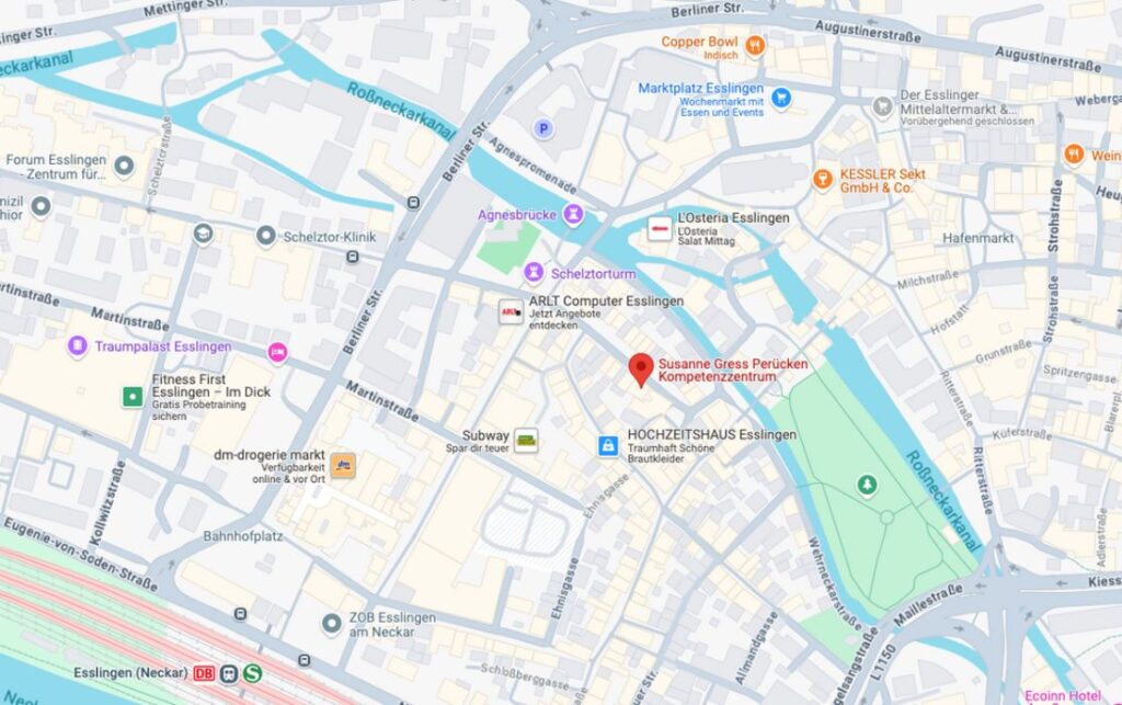 Google Maps Screenshot